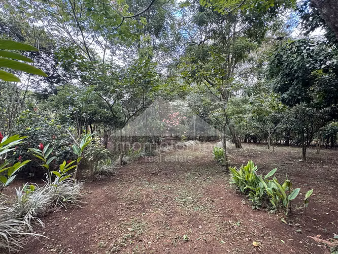 Quinta en Venta Jinotepe, Jinotepe - Imagen 8