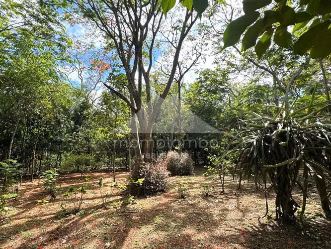 Quinta en Venta Jinotepe, Jinotepe - Imagen 4