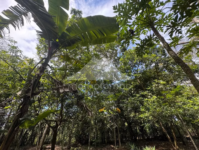 Quinta en Venta Jinotepe, Jinotepe - Imagen 18