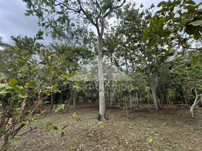 Quinta en Venta Jinotepe, Jinotepe - Imagen 12