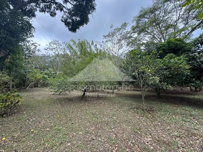 Quinta en Venta Jinotepe, Jinotepe - Imagen 16