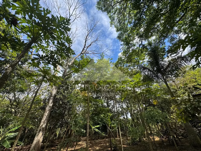 Quinta en Venta Jinotepe, Jinotepe - Imagen 20