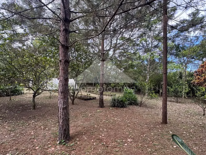 Quinta en Venta Jinotepe, Jinotepe - Imagen 15