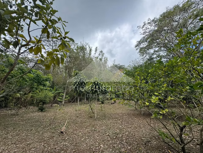 Quinta en Venta Jinotepe, Jinotepe - Imagen 11