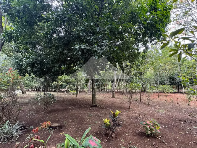 Quinta en Venta Jinotepe, Jinotepe - Imagen 19