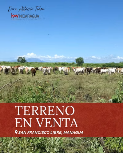¡En venta! Finca de 94.5mz ubicada en San Francisco Libre, Managua.