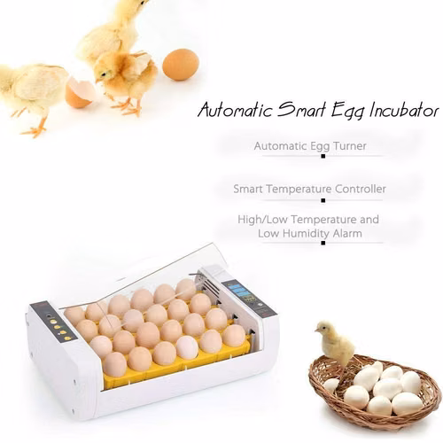 incubadoras automaticas de 24 huevos - Imagen 4