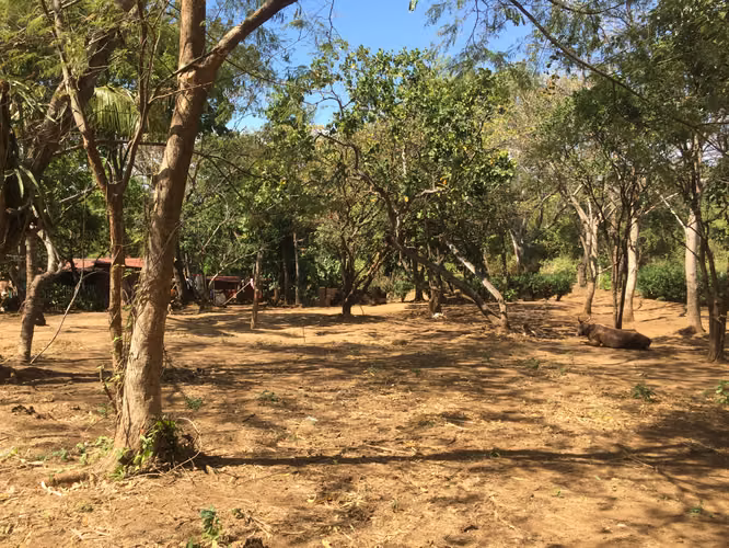 Venta de Finca en Carretera Sur