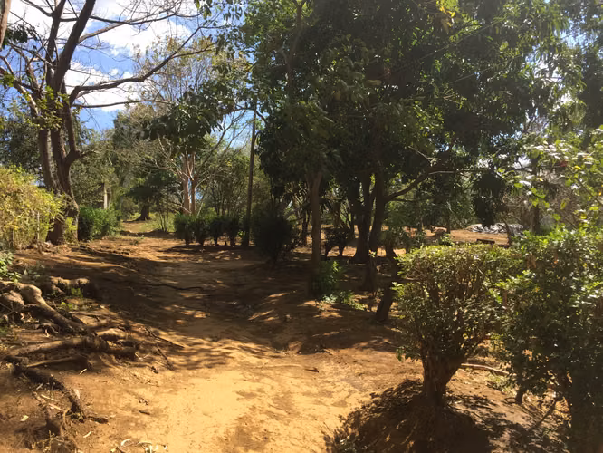 Venta de Finca en Carretera Sur