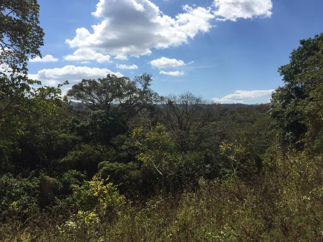 Venta de Finca en Carretera Sur