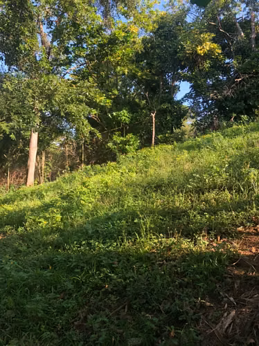 Venta de Terreno en Carretera Sur