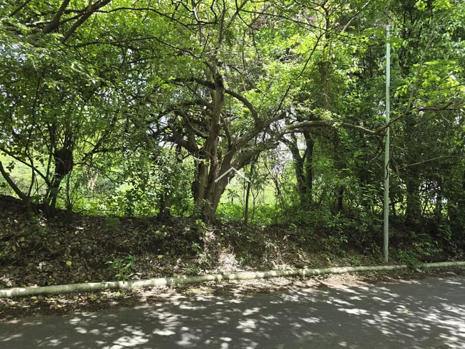 LL-¡Gran Oportunidad de Inversión! Terreno en Venta en Sector Villa Fontana Sur/Jocote Dulce