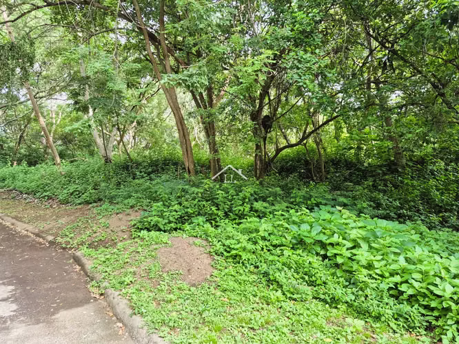 LL - Se Vende Terreno en Residencial en Balcones de Santo Domingo - Imagen 12