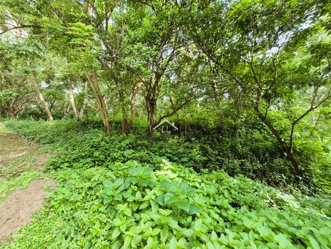 LL - Se Vende Terreno en Residencial en Balcones de Santo Domingo - Imagen 10
