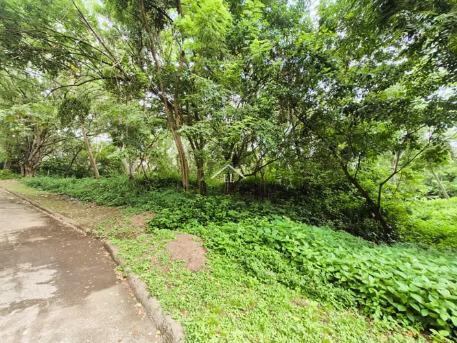 LL - Se Vende Terreno en Residencial en Balcones de Santo Domingo