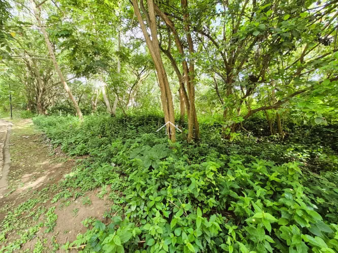 LL - Se Vende Terreno en Residencial en Balcones de Santo Domingo - Imagen 7