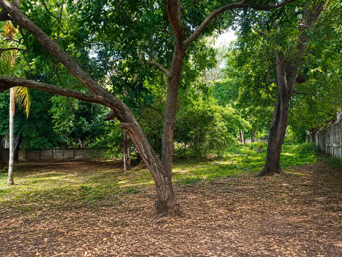 Terreno en venta ubicado zona alta plusvalía, camino a Pueblo Viejo en Santo Domingo 5382 - Imagen 1