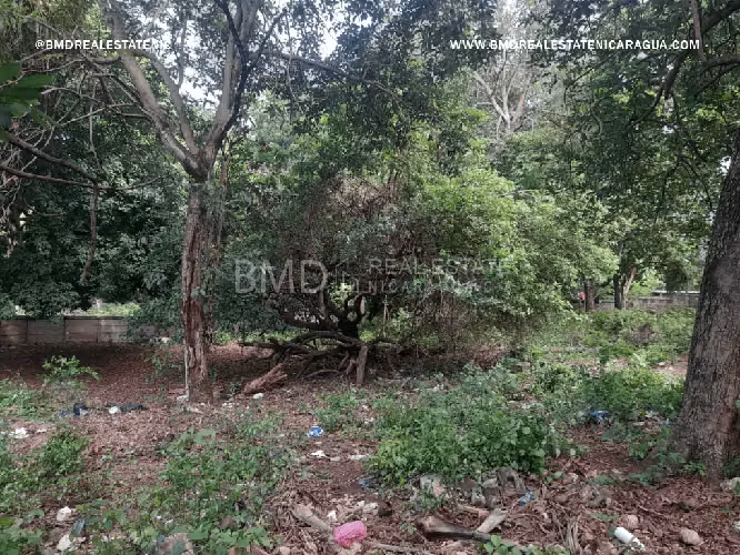 Terreno en venta ubicado zona alta plusvalía, camino a Pueblo Viejo en Santo Domingo 5382 - Imagen 4