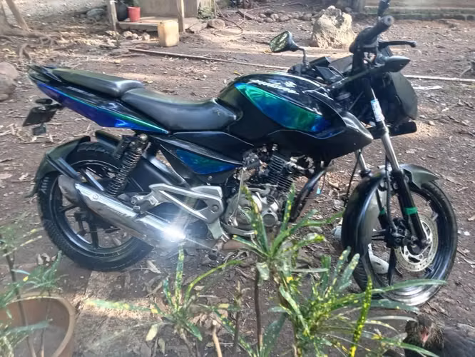 Moto pullssar 135 ls