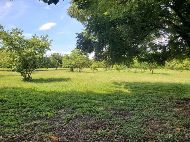 NO-Vendo terreno en Carretera Masaya, Tipitapa km 33 - Imagen 13