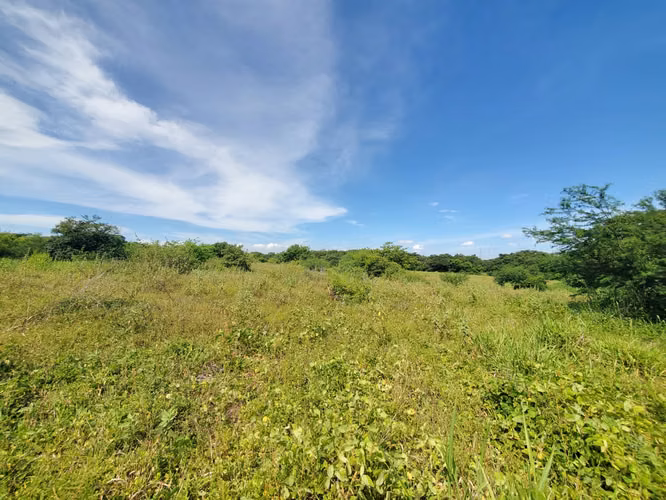 NO-Vendo terreno en Carretera Masaya, Tipitapa km 33 - Imagen 9