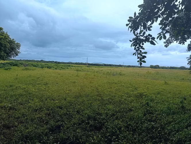 NO-Vendo terreno en Carretera Masaya, Tipitapa km 33 - Imagen 7