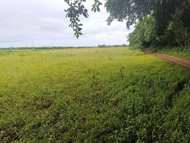 NO-Vendo terreno en Carretera Masaya, Tipitapa km 33 - Imagen 12
