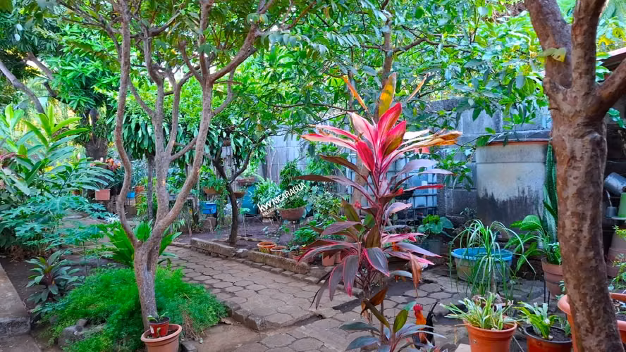 GG - Venta, casa en Carretera Sur con 1, 705 Vrs2 - GANGA - Imagen 19
