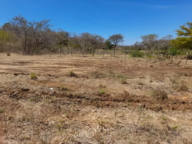 Lote en lotificación en rápido crecimiento