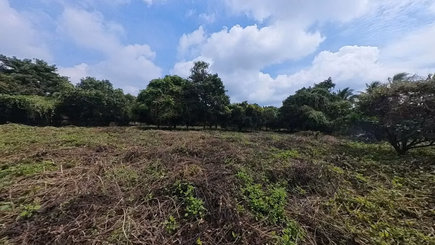 venta de terreno en carretera sur