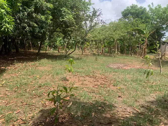 Venta de Terreno en Carretera a Masaya - Imagen 5