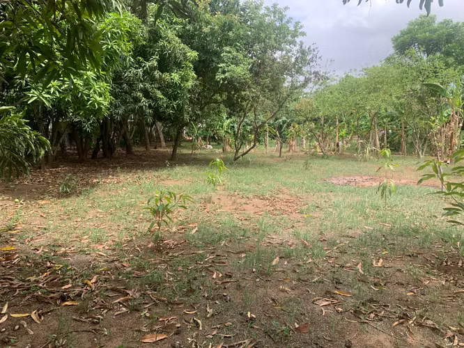 Venta de Terreno en Carretera a Masaya - Imagen 16