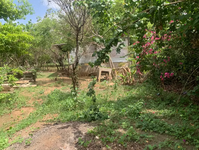 Venta de Terreno en Carretera a Masaya - Imagen 4