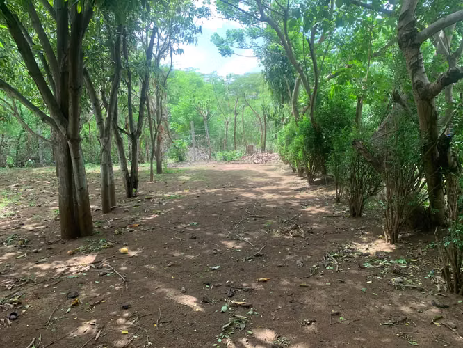 Venta de Terreno en Carretera a Masaya - Imagen 10