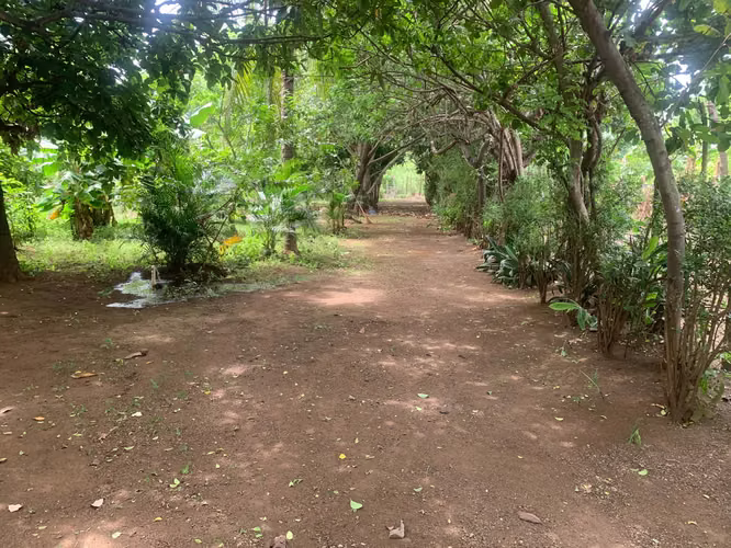 Venta de Terreno en Carretera a Masaya - Imagen 9