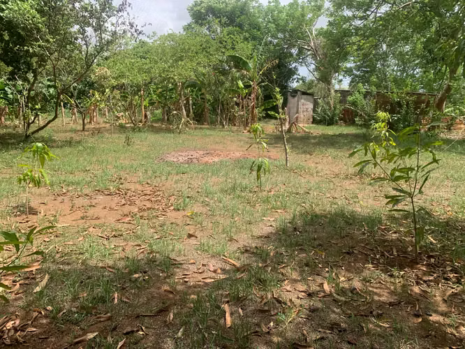 Venta de Terreno en Carretera a Masaya - Imagen 6