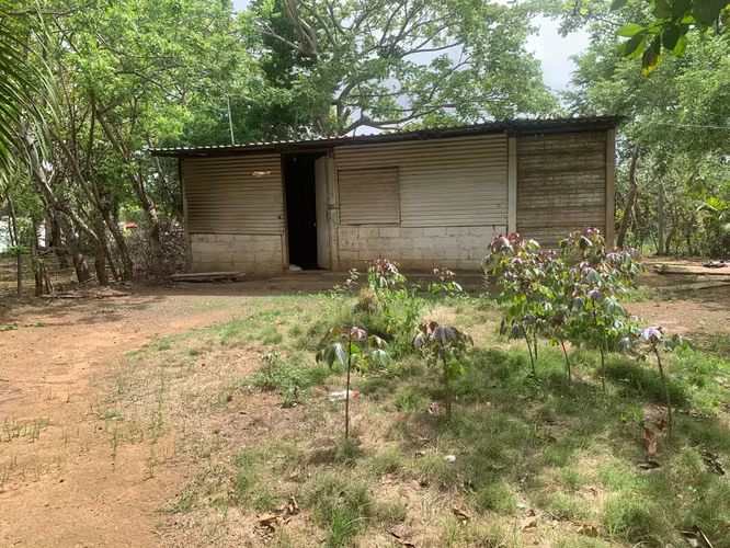 Venta de Terreno en Carretera a Masaya - Imagen 15