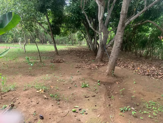 Venta de Terreno en Carretera a Masaya - Imagen 14