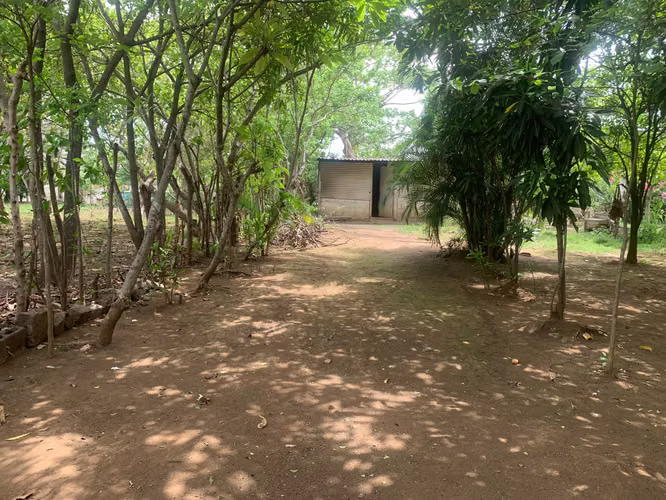 Venta de Terreno en Carretera a Masaya - Imagen 7