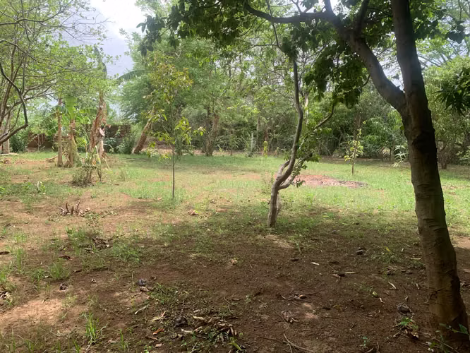 Venta de Terreno en Carretera a Masaya - Imagen 2