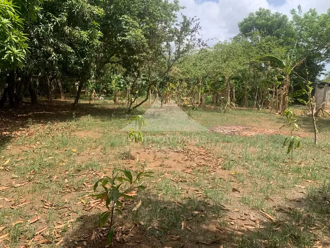 Terreno en Venta Carretera A Masaya, Managua - Imagen 4