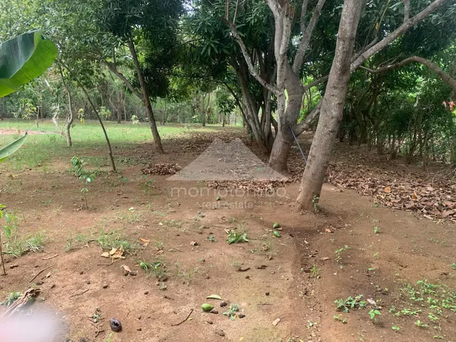 Terreno en Venta Carretera A Masaya, Managua - Imagen 10