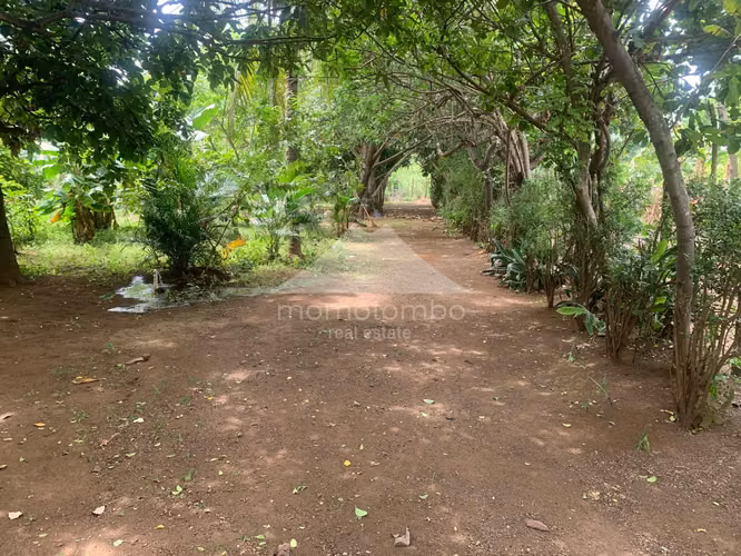 Terreno en Venta Carretera A Masaya, Managua - Imagen 7