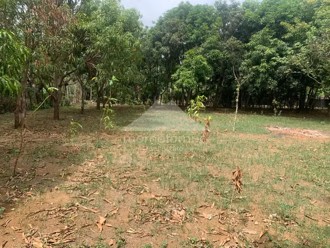 Terreno en Venta Carretera A Masaya, Managua - Imagen 9