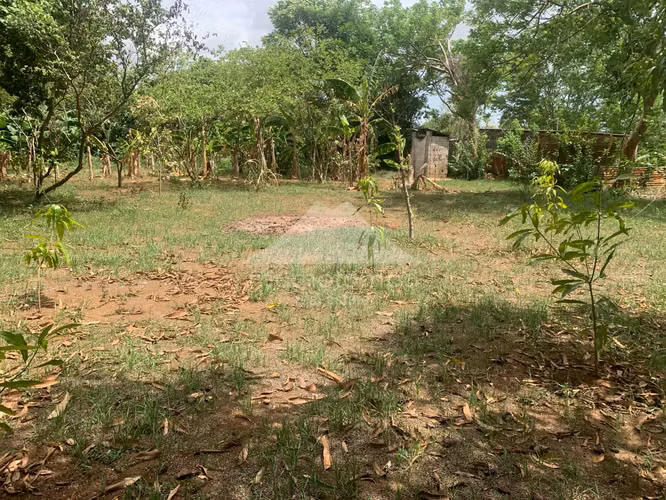 Terreno en Venta Carretera A Masaya, Managua - Imagen 6