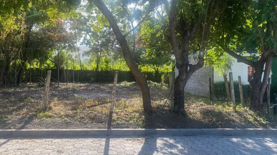 Lote de terreno