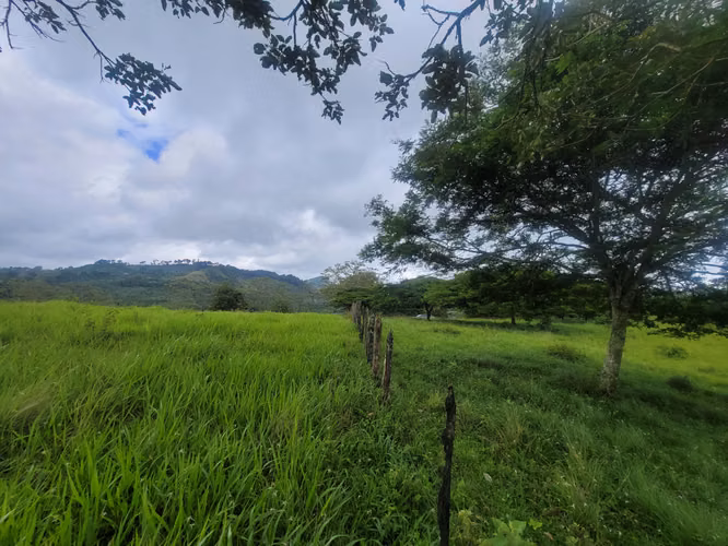 Venta de Finca en Jinotega - Imagen 15