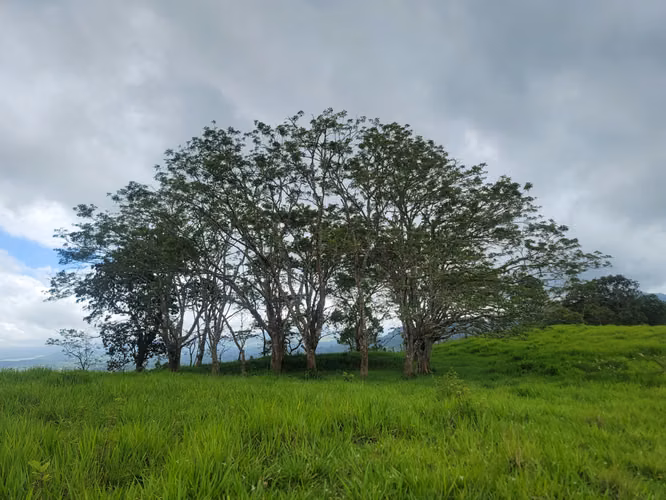 Venta de Finca en Jinotega - Imagen 18