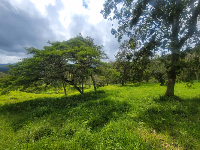 Venta de Finca en Jinotega - Imagen 9