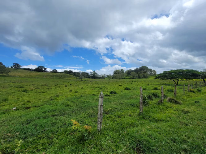 Venta de Finca en Jinotega - Imagen 19